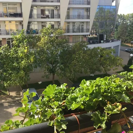 Apartment Blue Summer