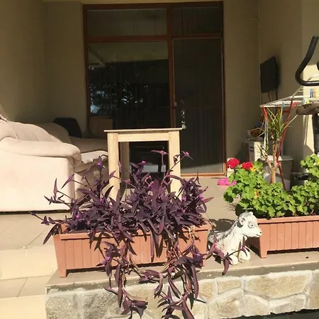 アパート Blue Summer サニービーチ